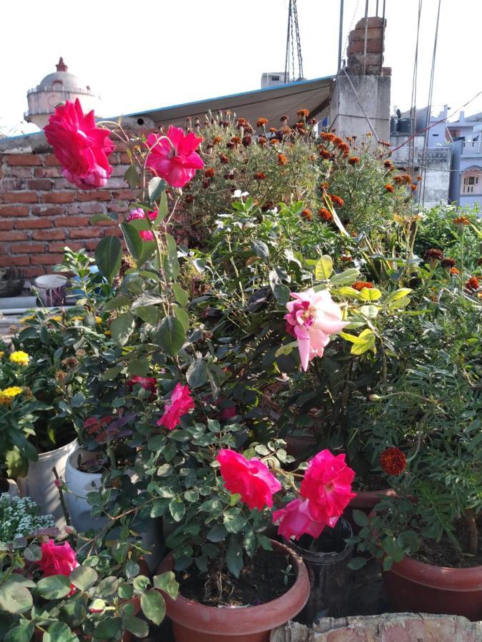 Hotel Devdoot Rajgir Luaran gambar